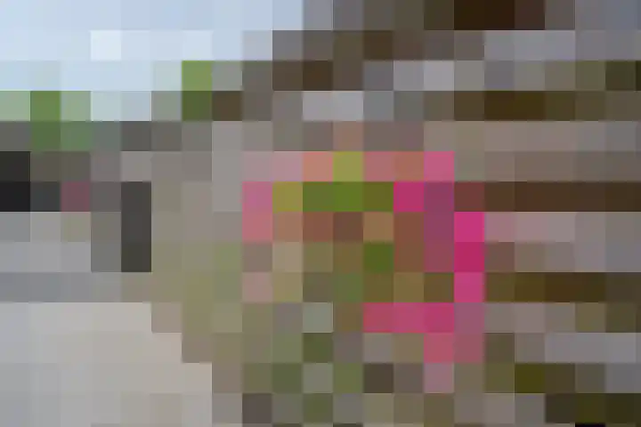 Meenteweg 75 Schildwolde thumbnail 36