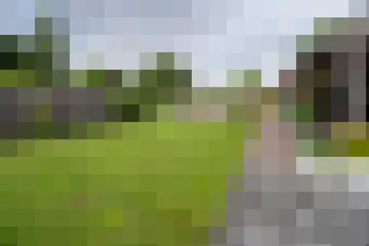 Meenteweg 75 Schildwolde thumbnail 37