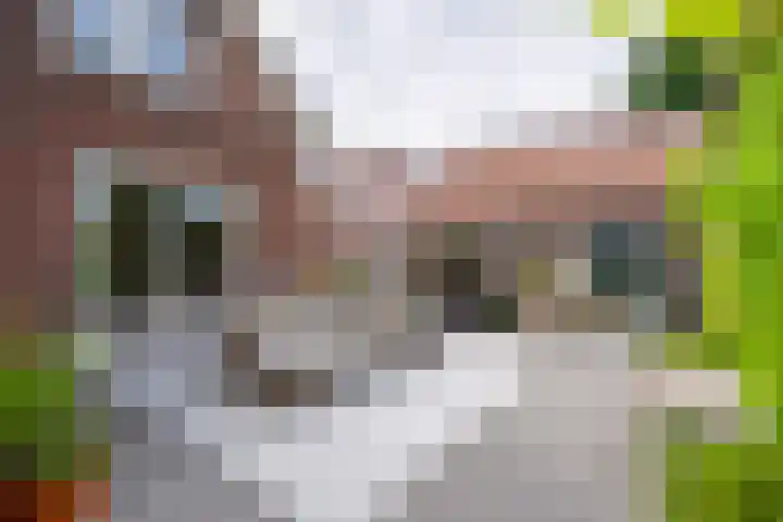Meenteweg 75 Schildwolde thumbnail 38