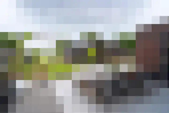 Meenteweg 75 Schildwolde thumbnail 39