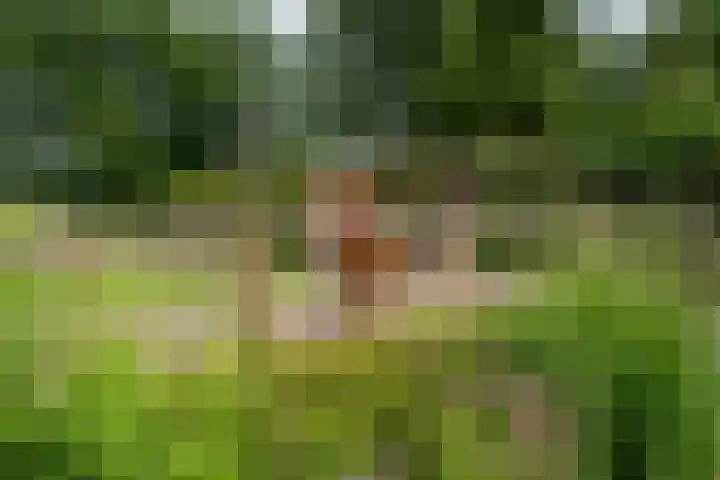 Meenteweg 75 Schildwolde thumbnail 42