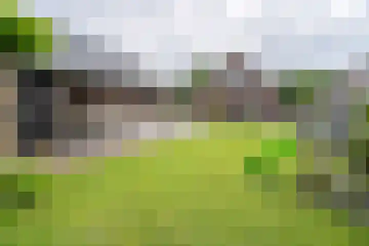 Meenteweg 75 Schildwolde thumbnail 45