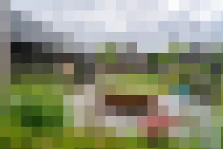 Meenteweg 75 Schildwolde thumbnail 46