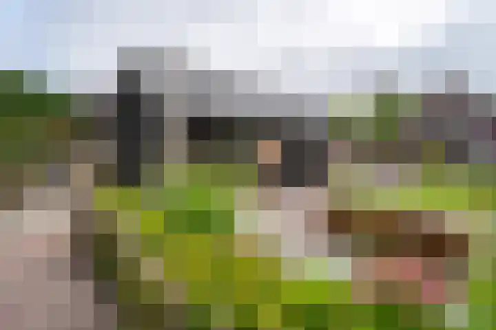 Meenteweg 75 Schildwolde thumbnail 47