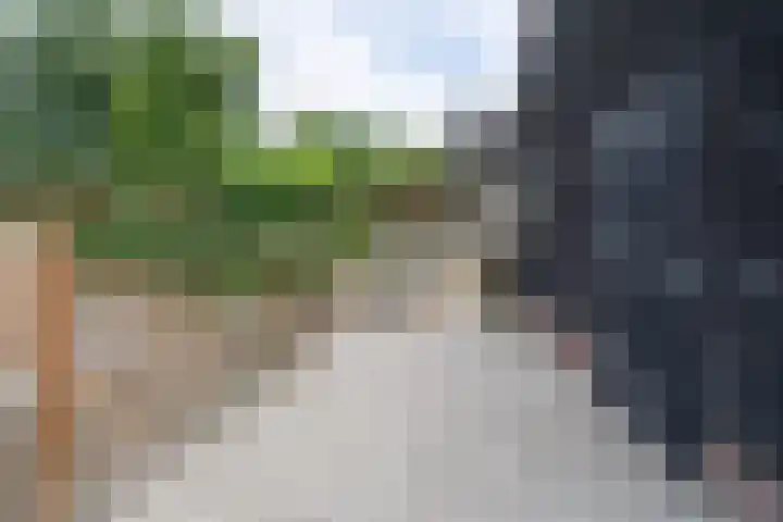 Meenteweg 75 Schildwolde thumbnail 48