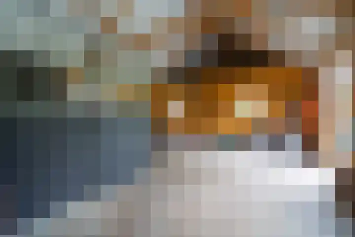 Meenteweg 75 Schildwolde thumbnail 50