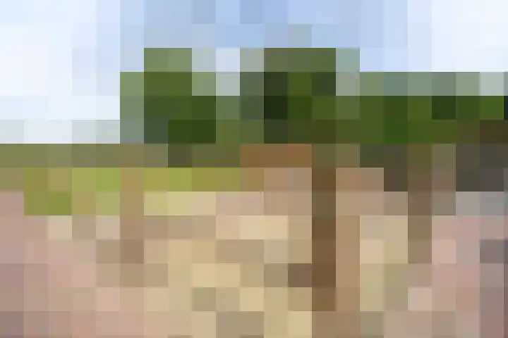 Meenteweg 75 Schildwolde thumbnail 51