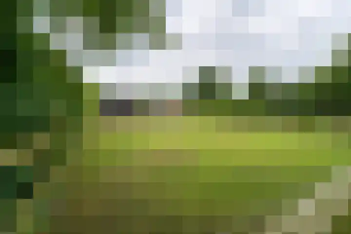 Meenteweg 75 Schildwolde thumbnail 53