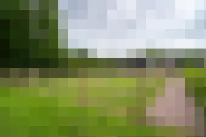 Meenteweg 75 Schildwolde thumbnail 54