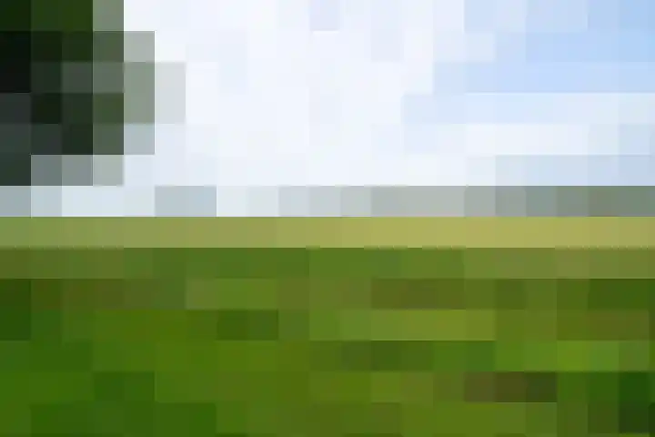 Meenteweg 75 Schildwolde thumbnail 55