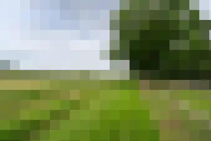 Meenteweg 75 Schildwolde thumbnail 56