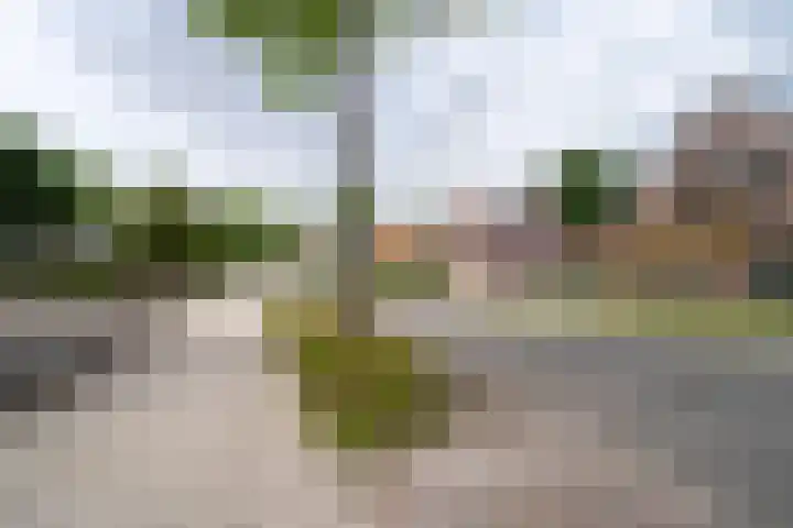 Meenteweg 75 Schildwolde thumbnail 59