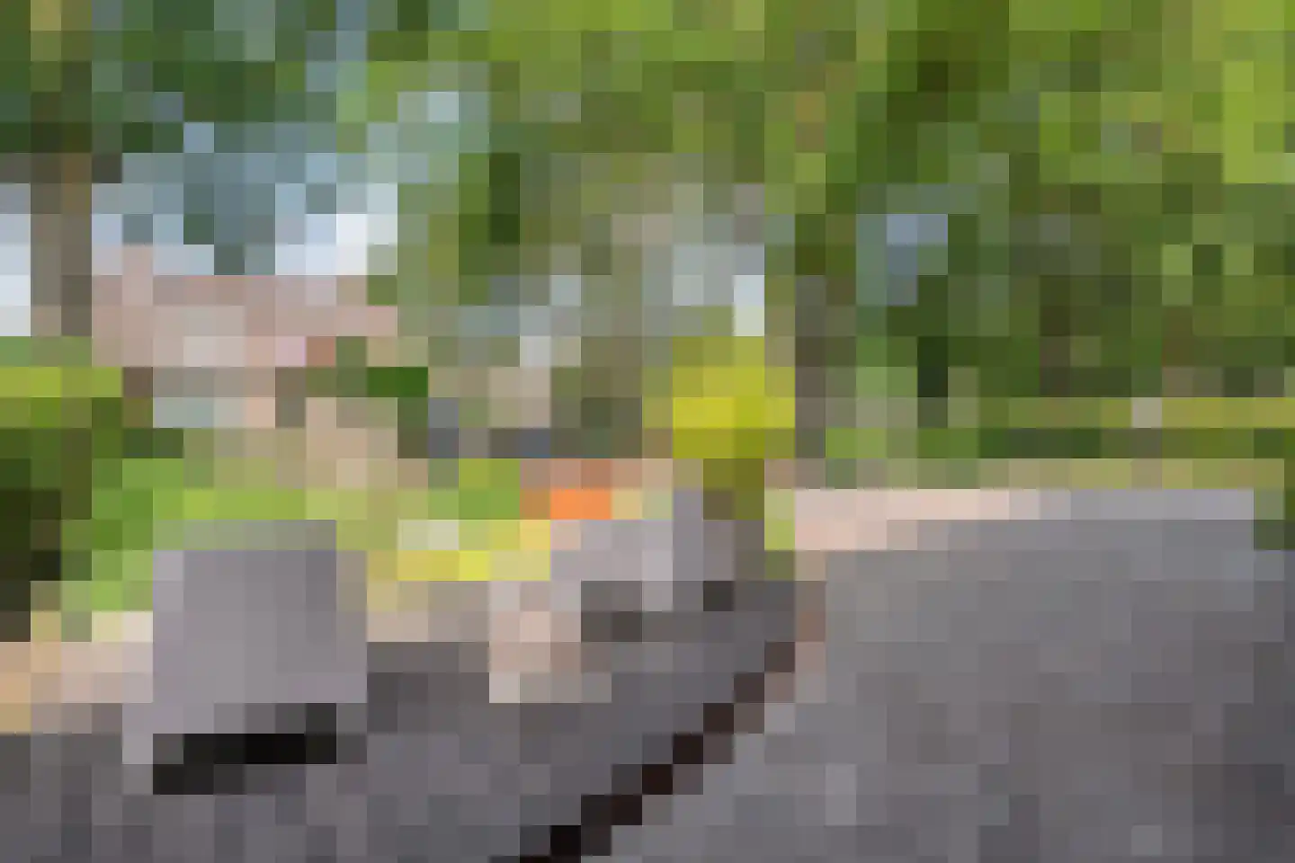 Meenteweg 9 1 Zwolle thumbnail 12