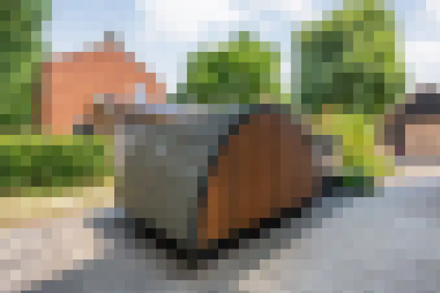 Meenteweg 9 1 Zwolle thumbnail 13