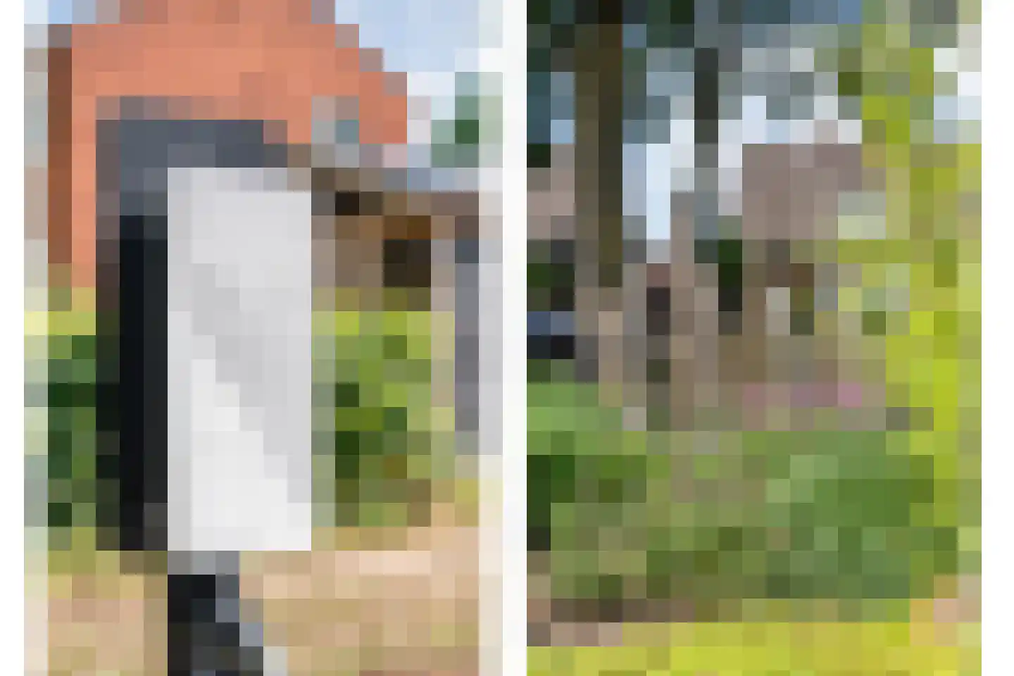 Meenteweg 9 1 Zwolle thumbnail 15