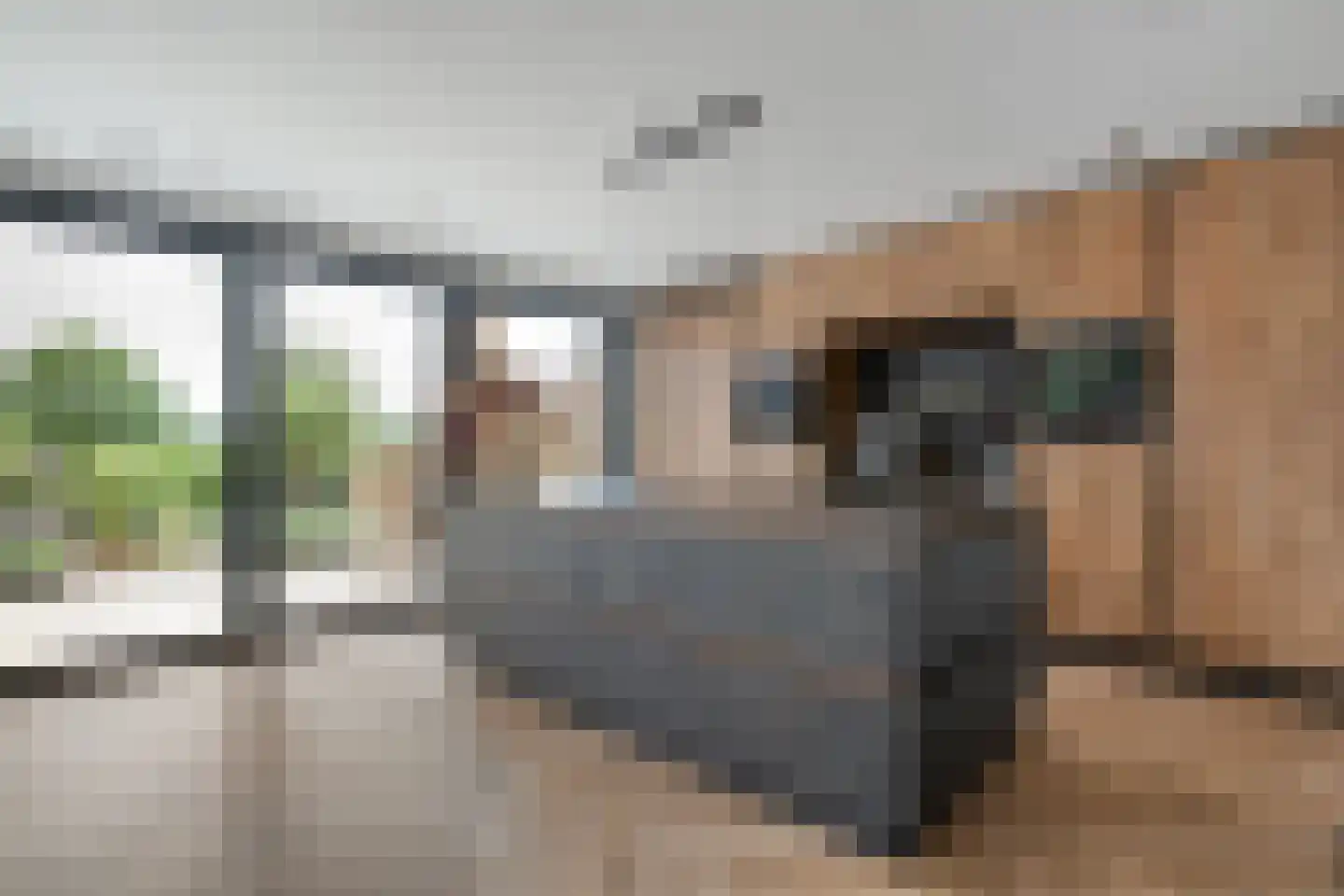 Meenteweg 9 1 Zwolle thumbnail 31