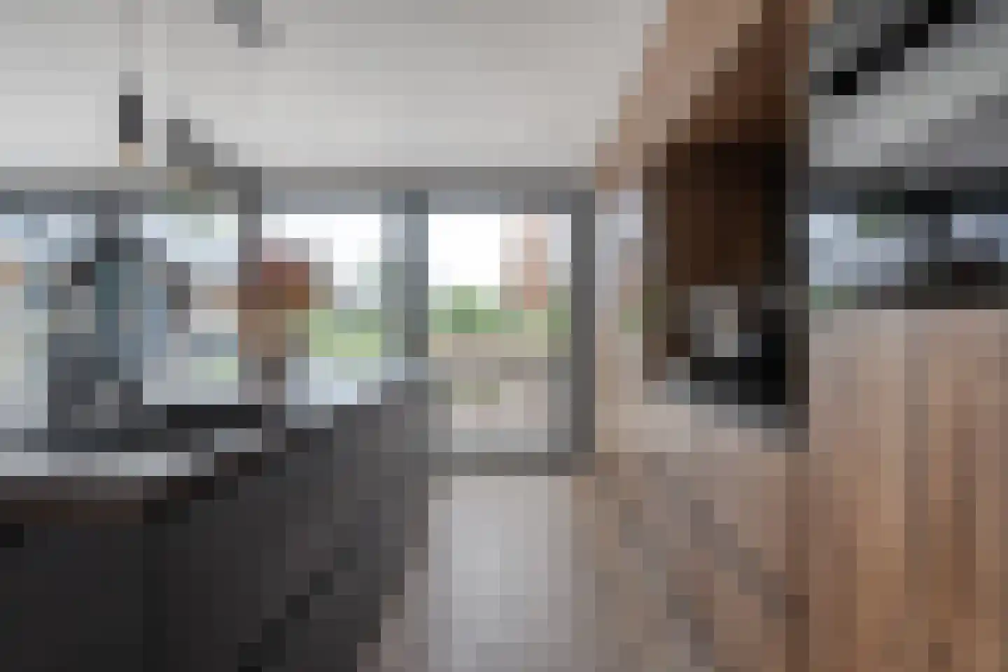 Meenteweg 9 1 Zwolle thumbnail 33