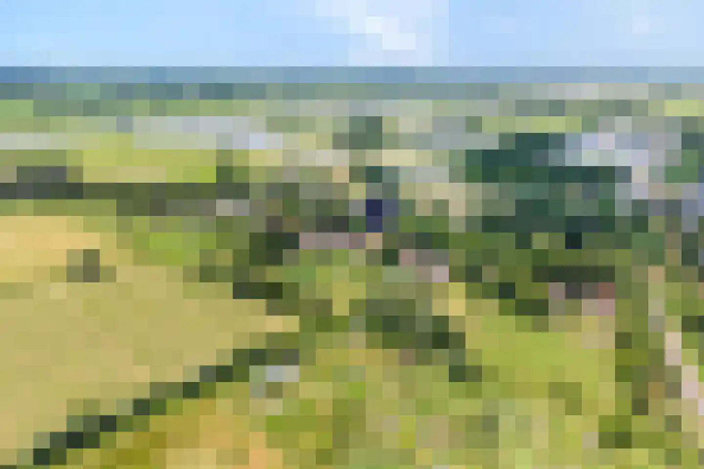 Meenteweg 9 1 Zwolle thumbnail 4