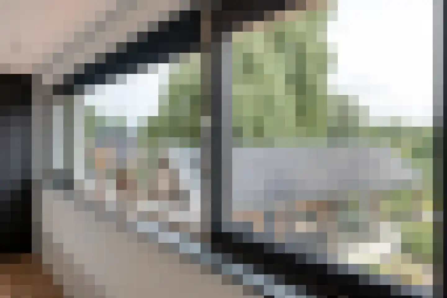 Meenteweg 9 1 Zwolle thumbnail 60
