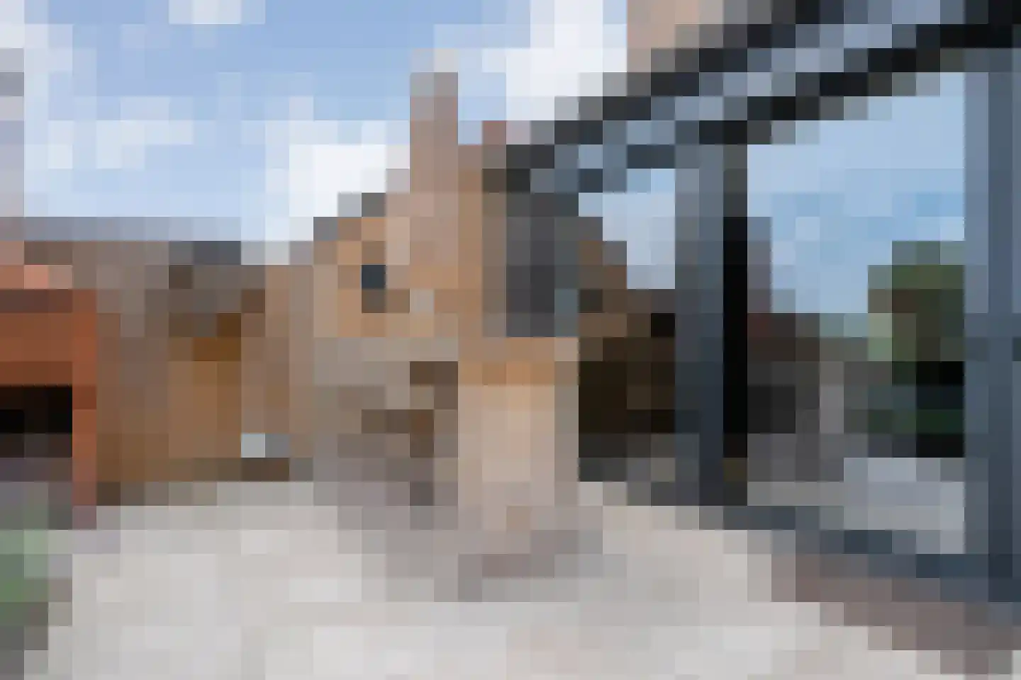 Meenteweg 9 1 Zwolle thumbnail 68