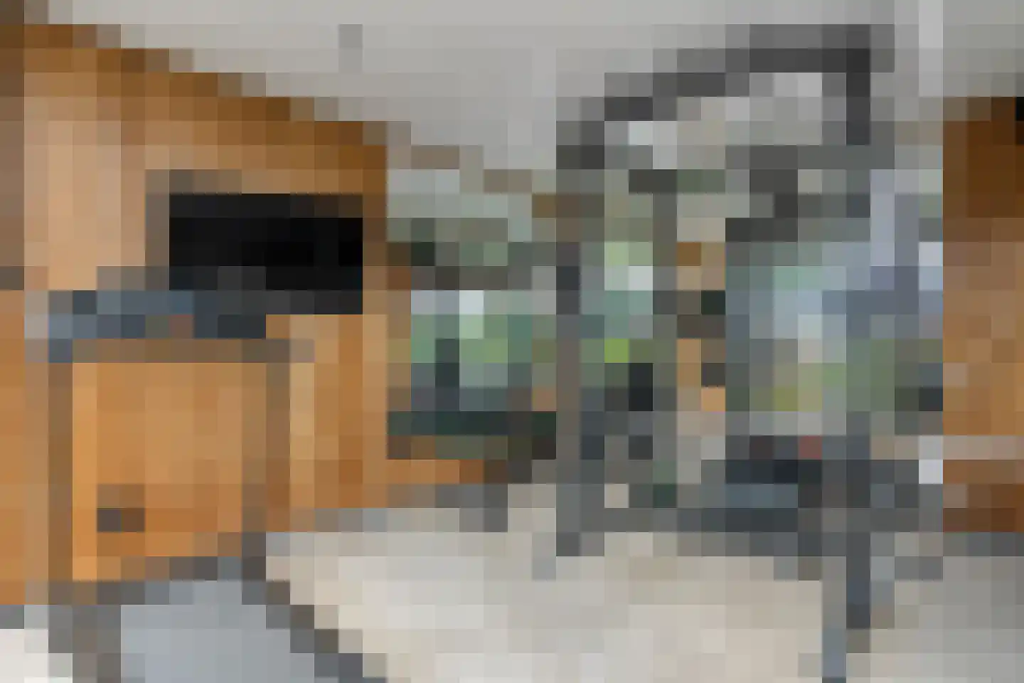 Meenteweg 9 1 Zwolle thumbnail 77
