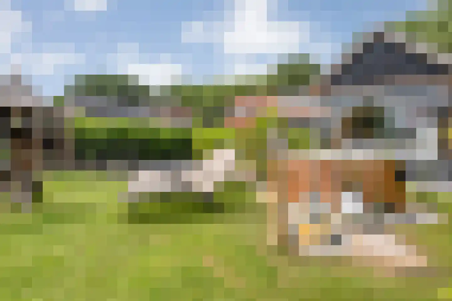 Meenteweg 9 1 Zwolle thumbnail 91