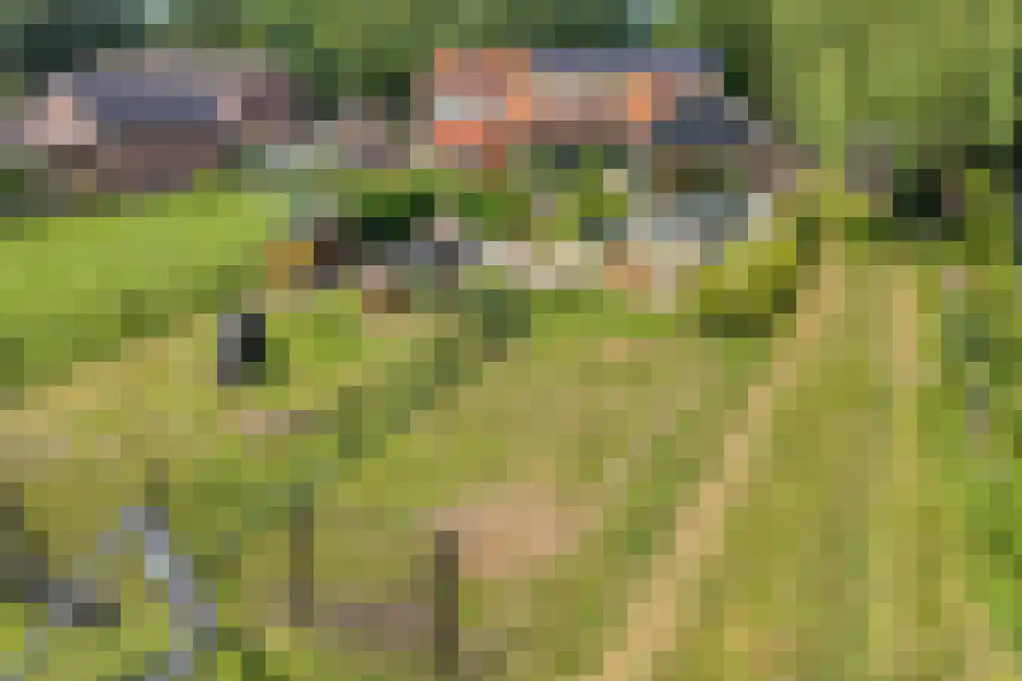 Meenteweg 9 1 Zwolle thumbnail 93