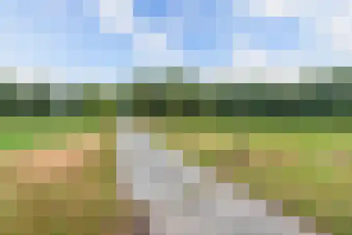 Meentheweg 13 Noordwolde thumbnail 27