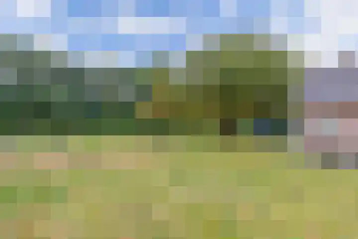 Meentheweg 13 Noordwolde thumbnail 30
