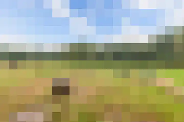 Meentheweg 13 Noordwolde thumbnail 31