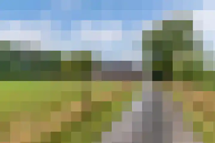 Meentheweg 13 Noordwolde thumbnail 4