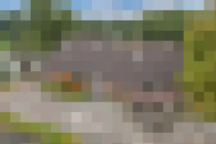 Meentheweg 13 Noordwolde thumbnail 40