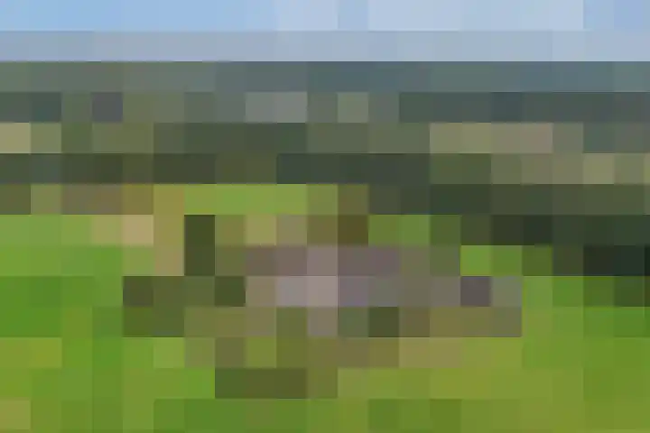 Meentheweg 13 Noordwolde thumbnail 47