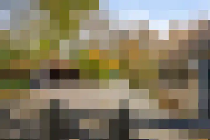 Meentheweg 16 Noordwolde thumbnail 10