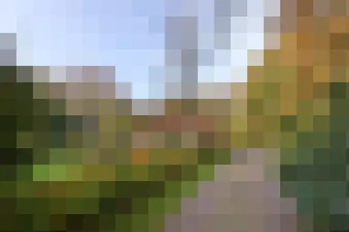 Meentheweg 16 Noordwolde thumbnail 25