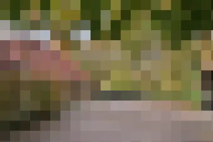 Meentheweg 16 Noordwolde thumbnail 26