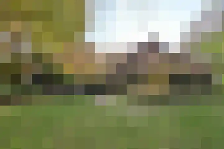Meentheweg 16 Noordwolde thumbnail 27