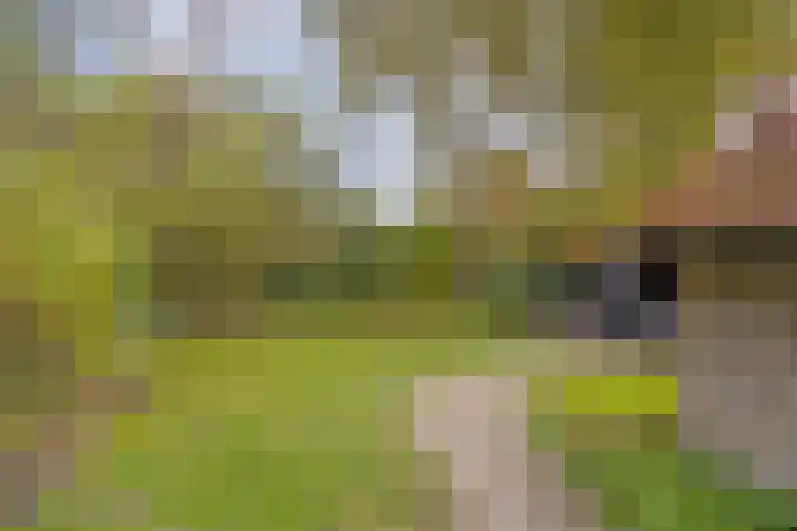 Meentheweg 16 Noordwolde thumbnail 28
