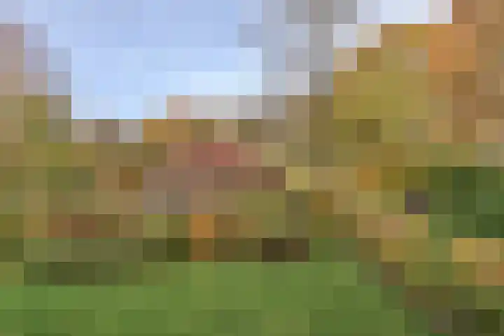 Meentheweg 16 Noordwolde thumbnail 33
