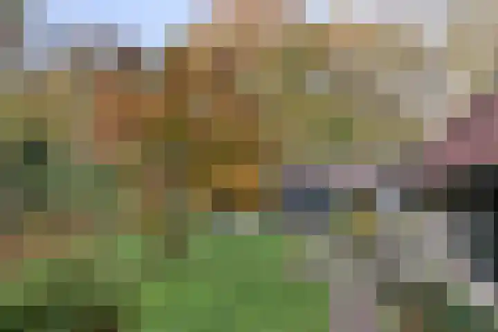 Meentheweg 16 Noordwolde thumbnail 34