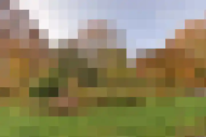 Meentheweg 16 Noordwolde thumbnail 4