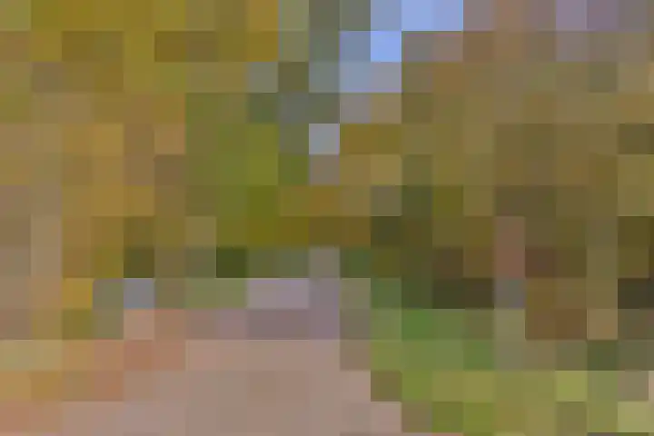 Meentheweg 16 Noordwolde thumbnail 7