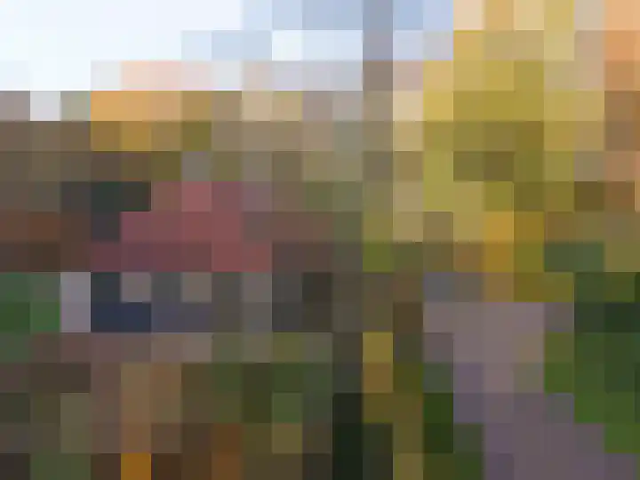 Meentheweg 16 Noordwolde thumbnail 9