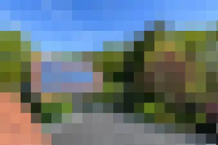 Meentheweg 18 Noordwolde thumbnail 36
