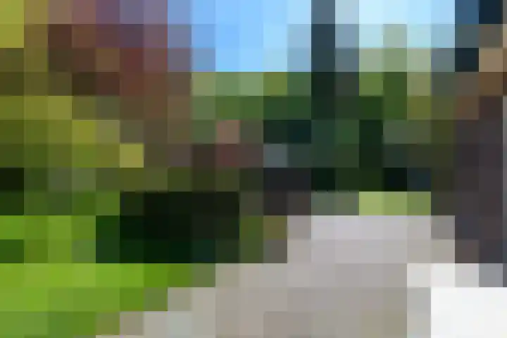 Meentheweg 18 Noordwolde thumbnail 44