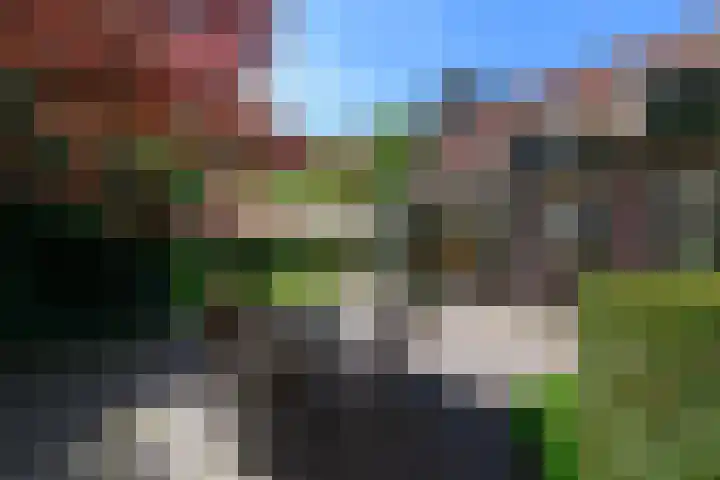 Meentheweg 18 Noordwolde thumbnail 47