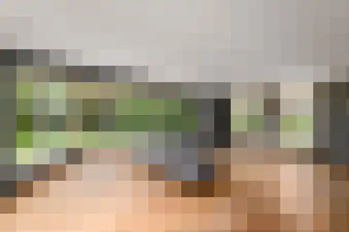 Meentheweg 18 Noordwolde thumbnail 5