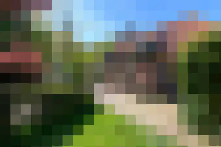 Meentheweg 18 Noordwolde thumbnail 50