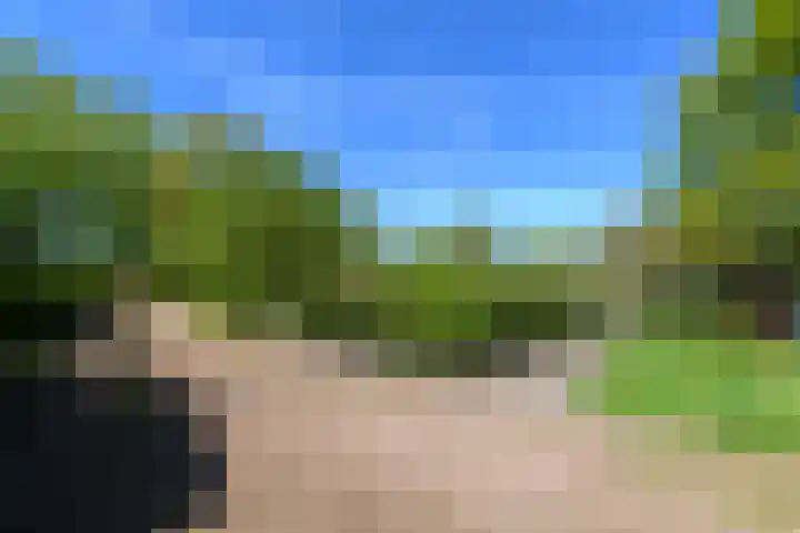 Meentheweg 18 Noordwolde thumbnail 53