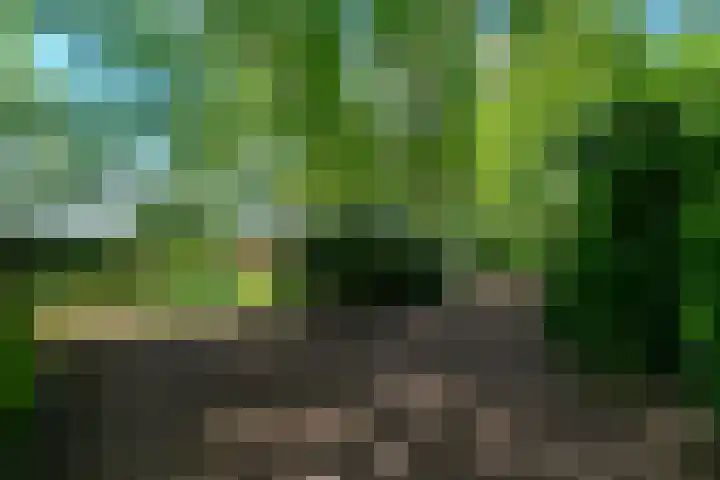 Meentheweg 18 Noordwolde thumbnail 54